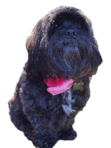 Maddie PFP (no background) Maddie PFP (no background)